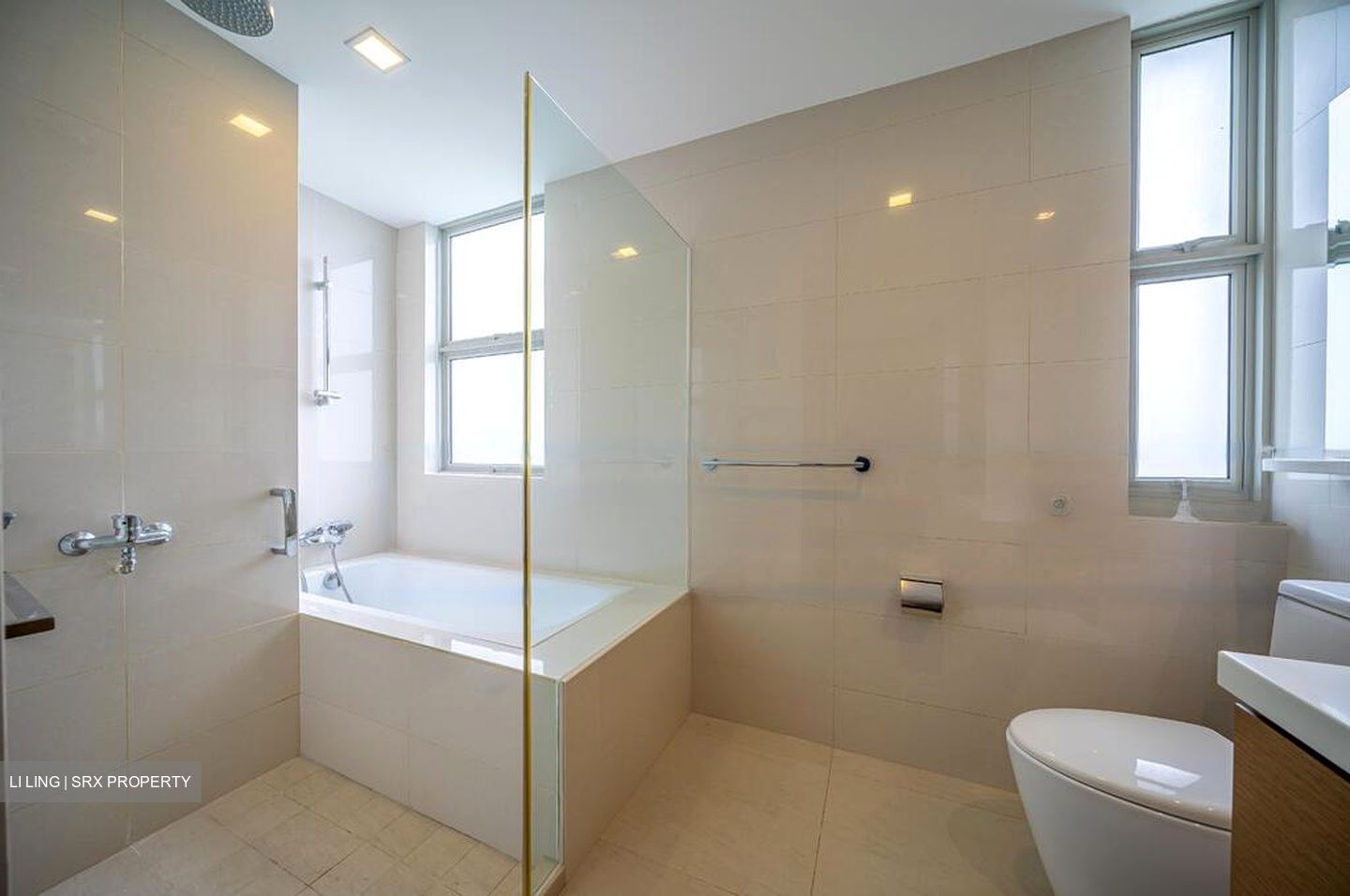 Nassim Regency (D10), Condominium #580722121
